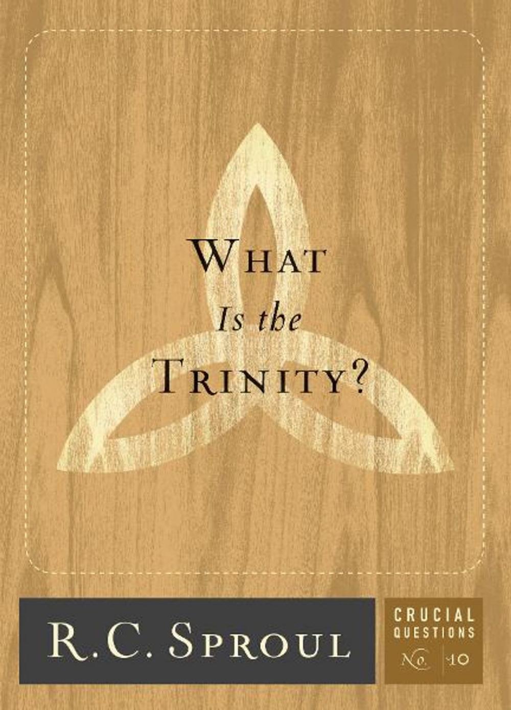 Big bigCover of What is the Trinity?