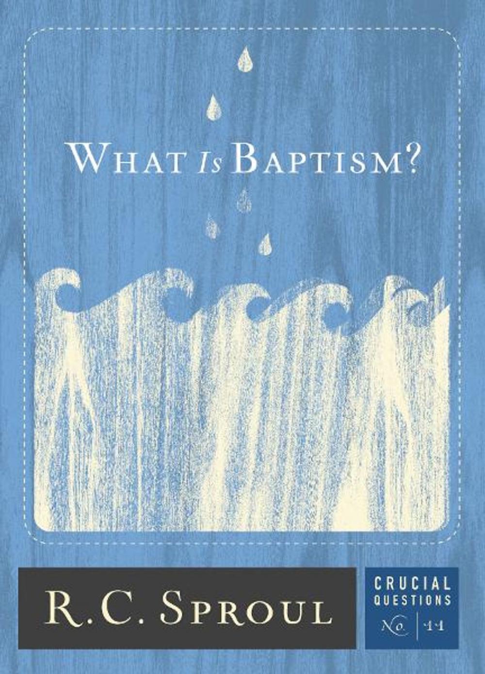 Big bigCover of What is Baptism?