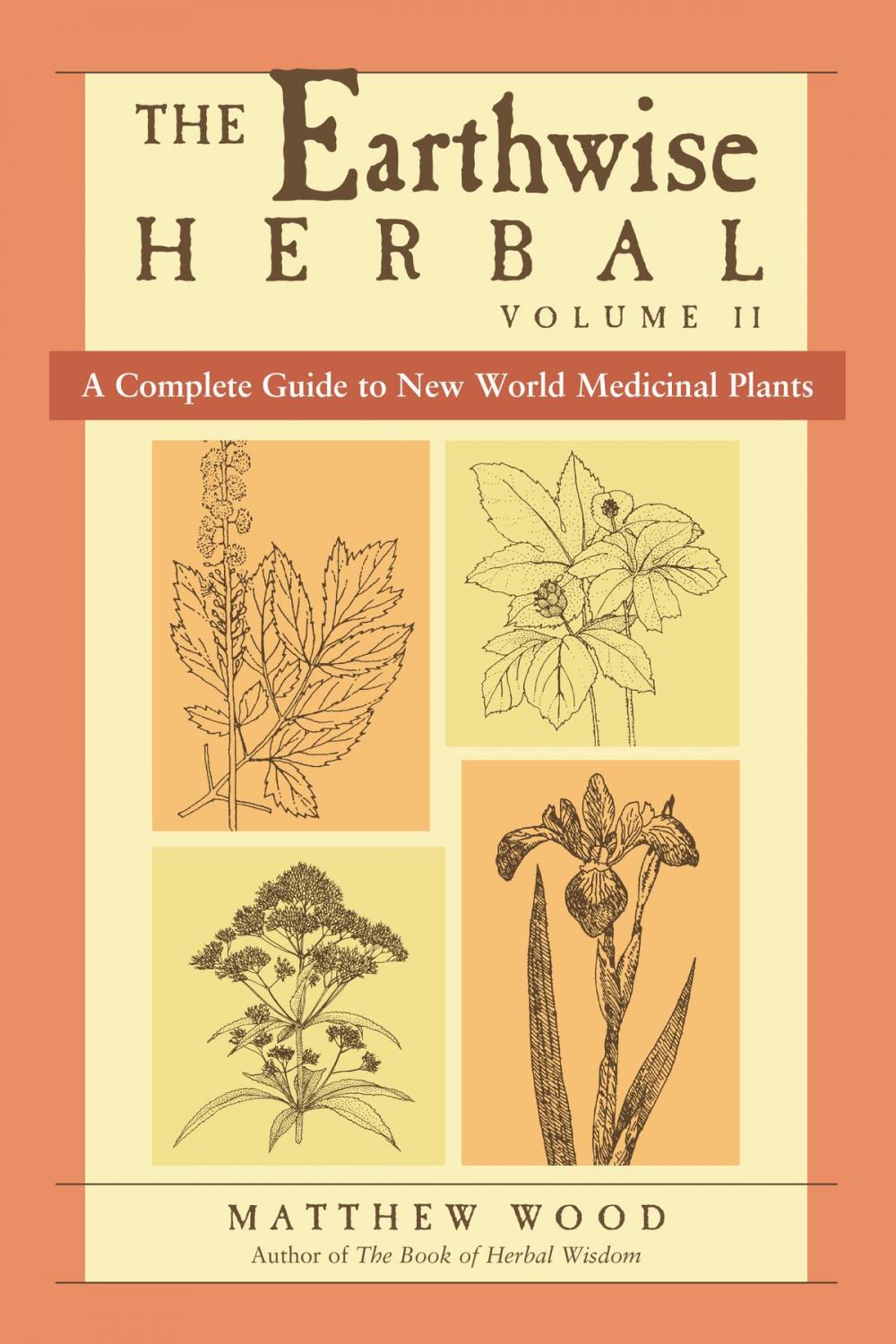 Big bigCover of The Earthwise Herbal, Volume II