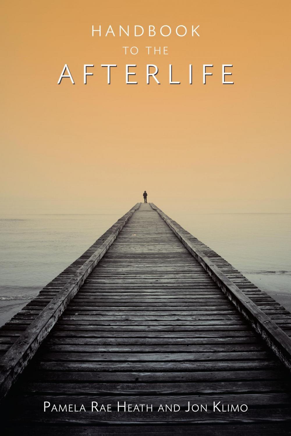 Big bigCover of Handbook to the Afterlife