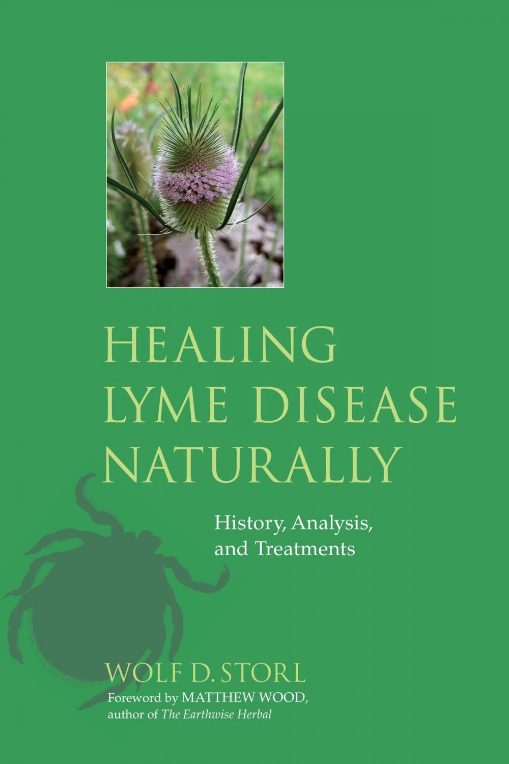 Big bigCover of Healing Lyme Disease Naturally