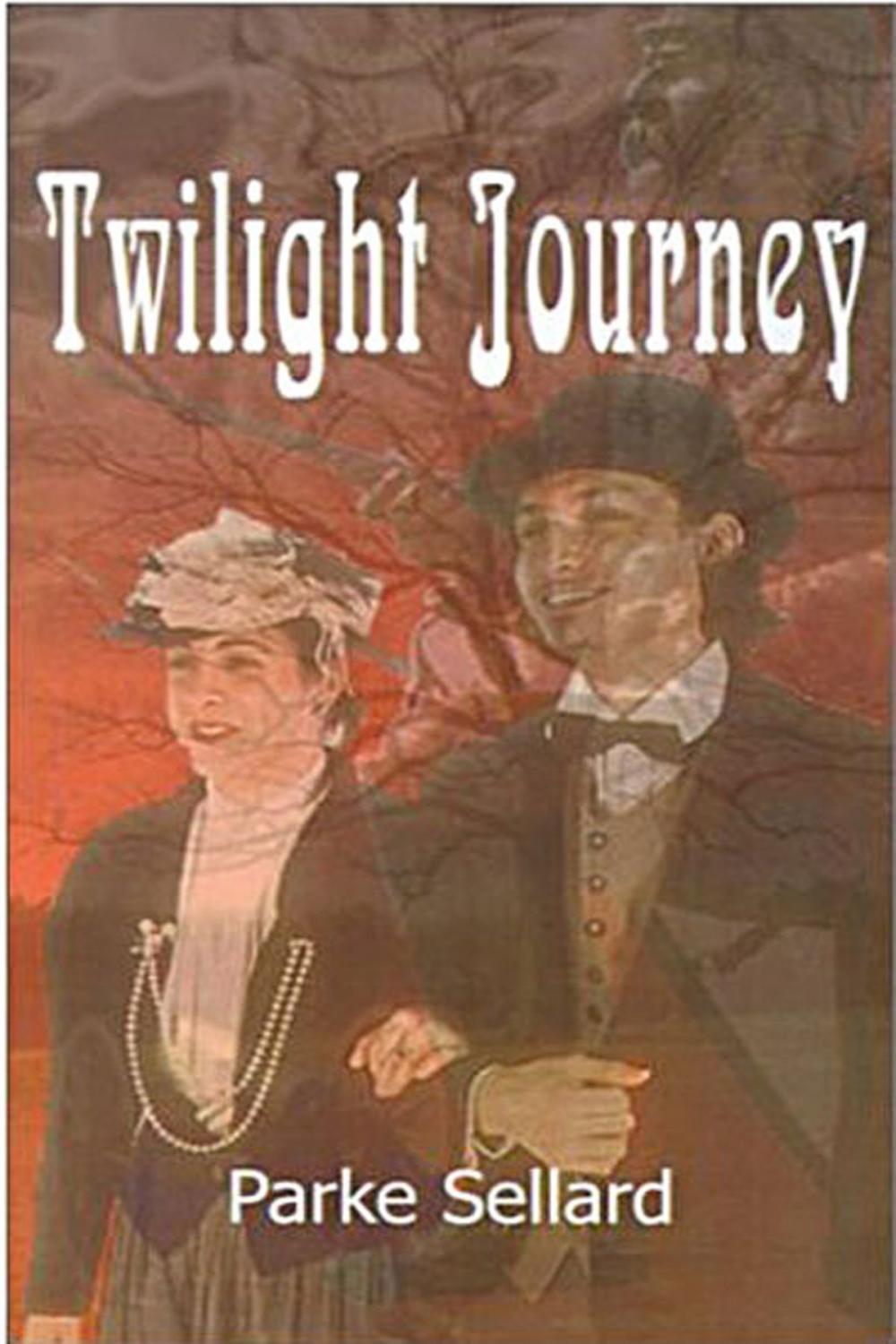 Big bigCover of Twilight Journey