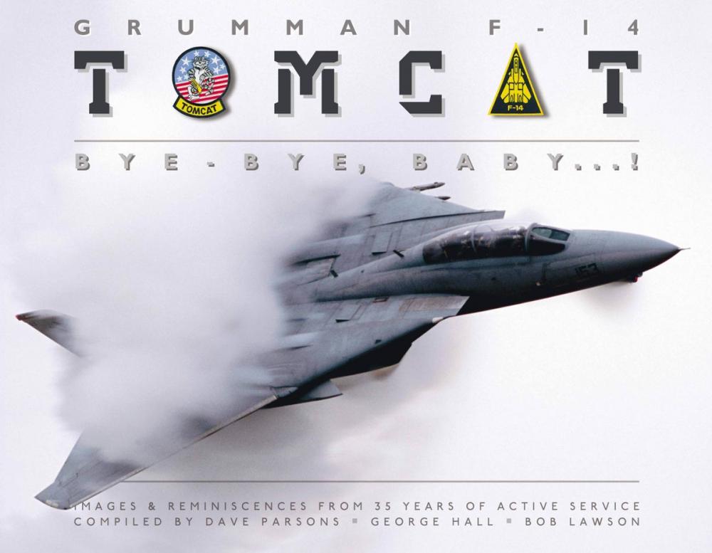 Big bigCover of Grumman F-14 Tomcat