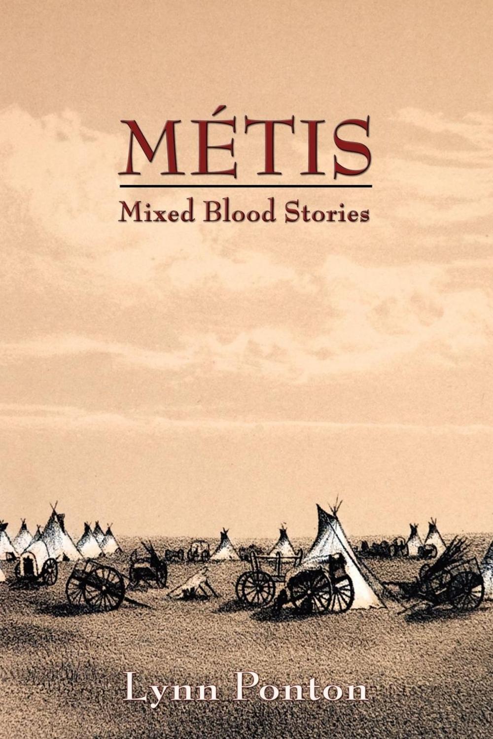 Big bigCover of Metis: Mixed Blood Stories