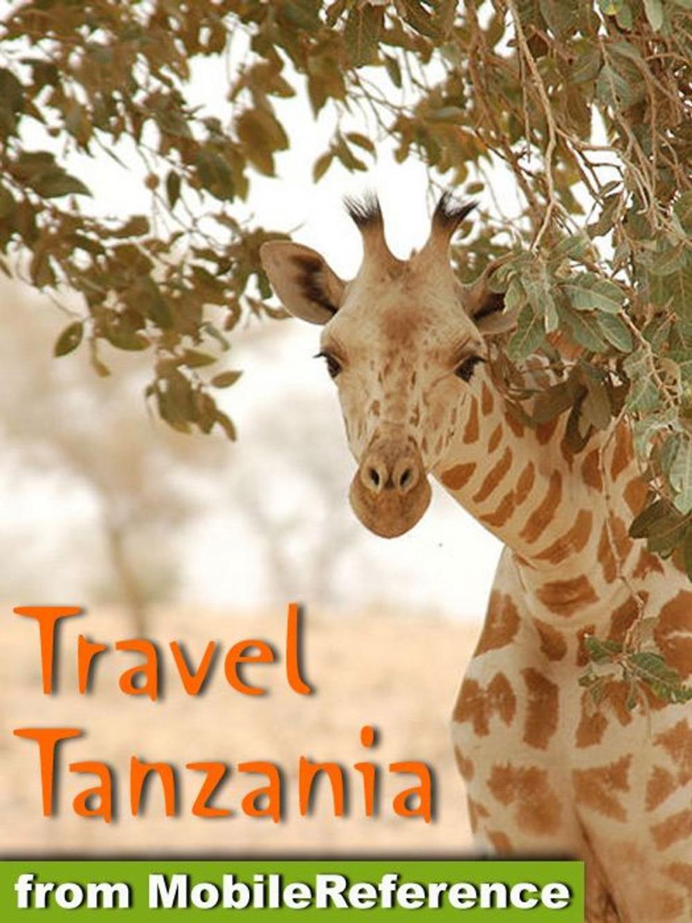 Big bigCover of Travel Tanzania (Mobi Travel)