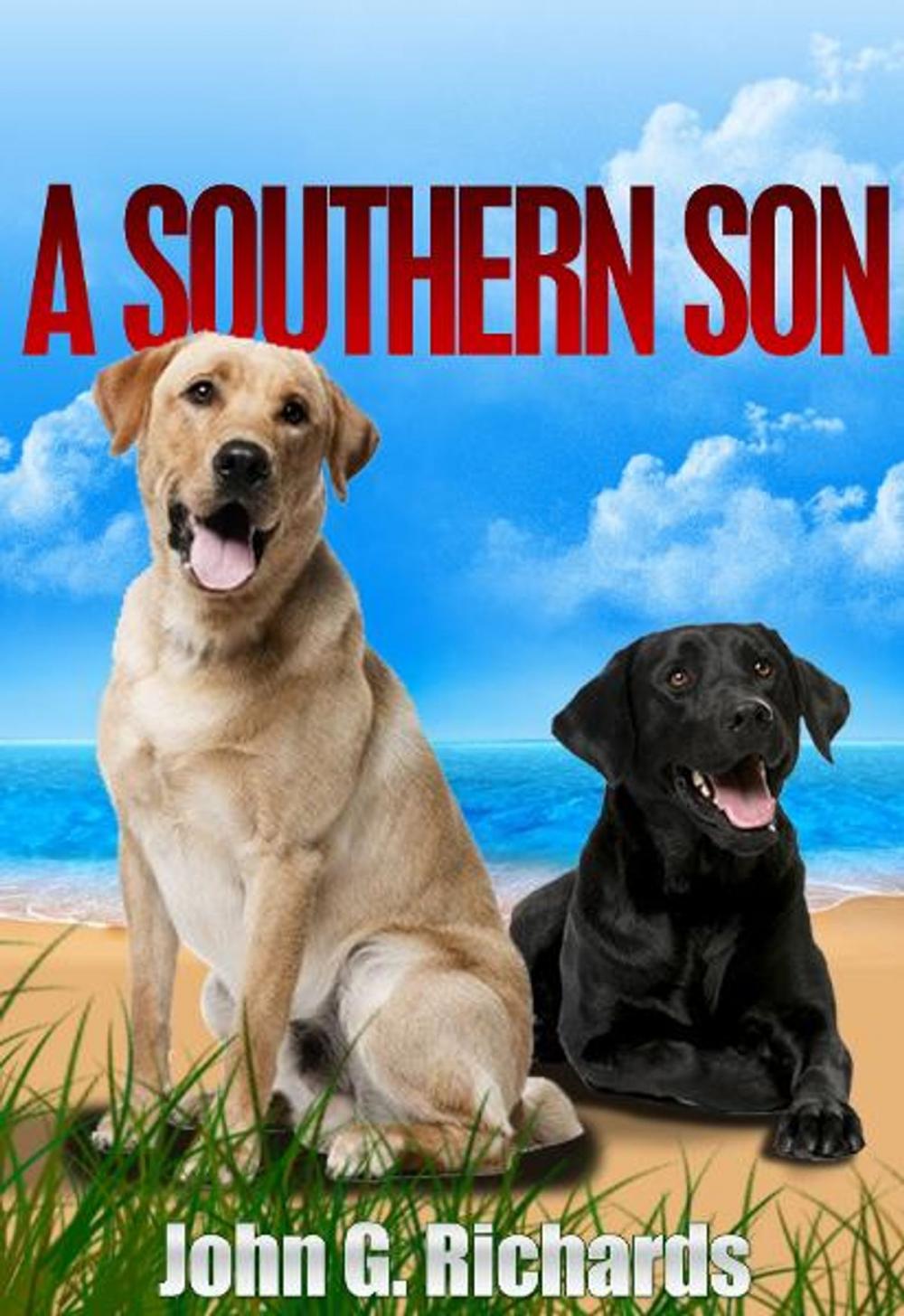 Big bigCover of A Southern Son