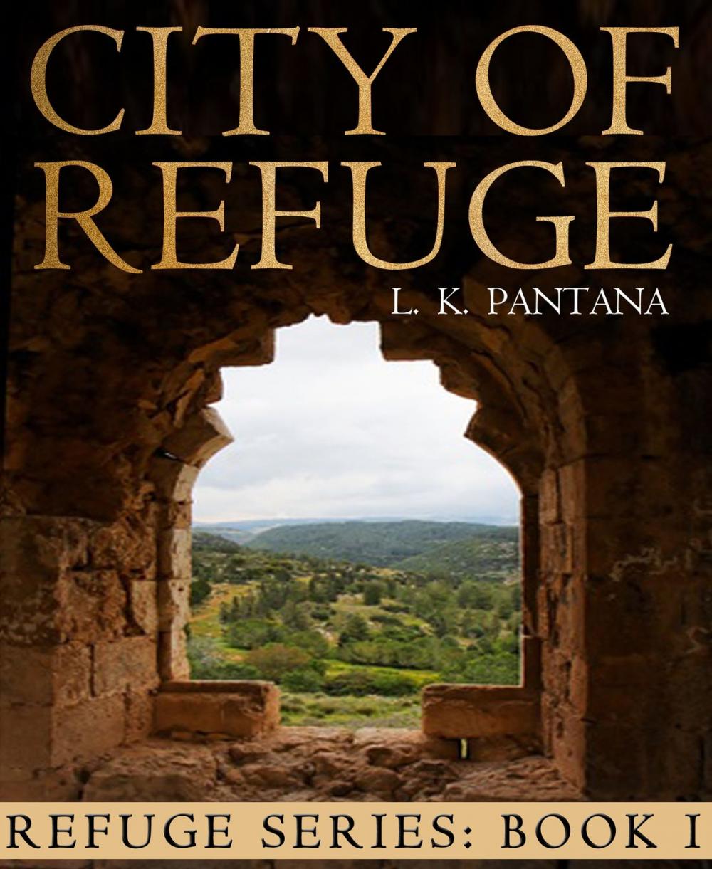 Big bigCover of City of Refuge