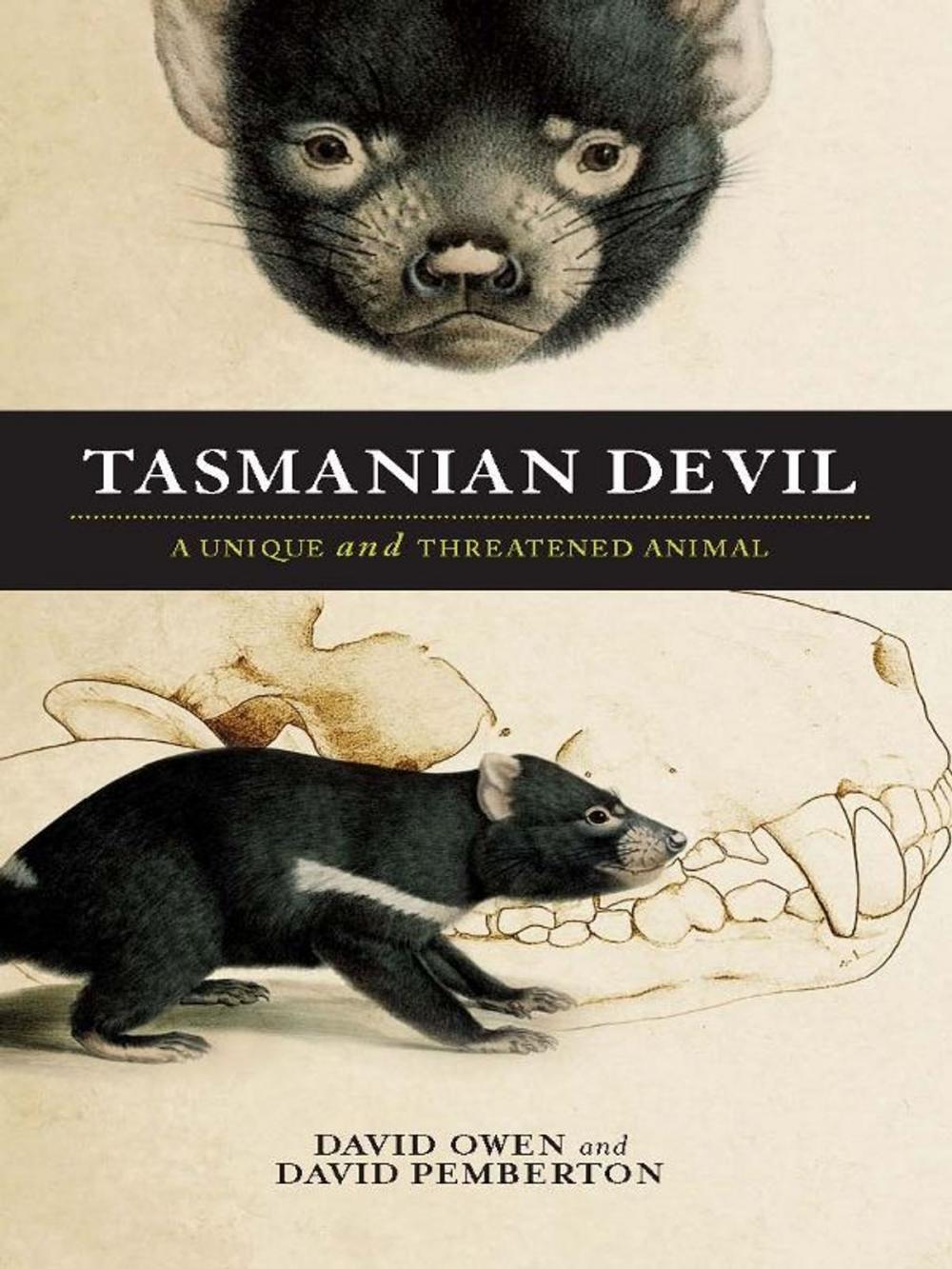 Big bigCover of Tasmanian Devil