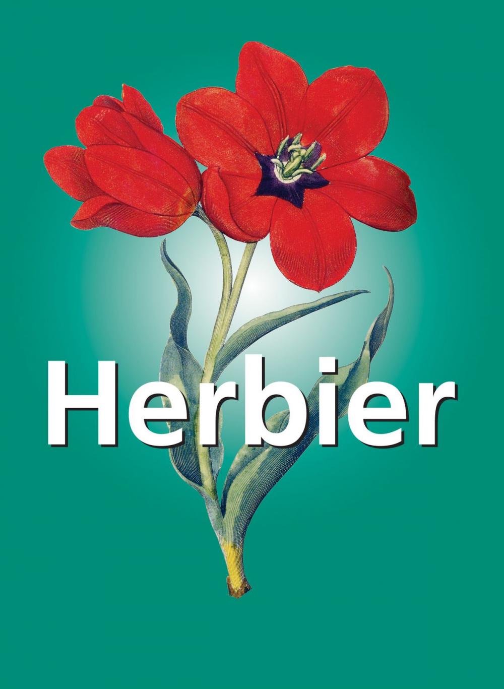 Big bigCover of Herbier