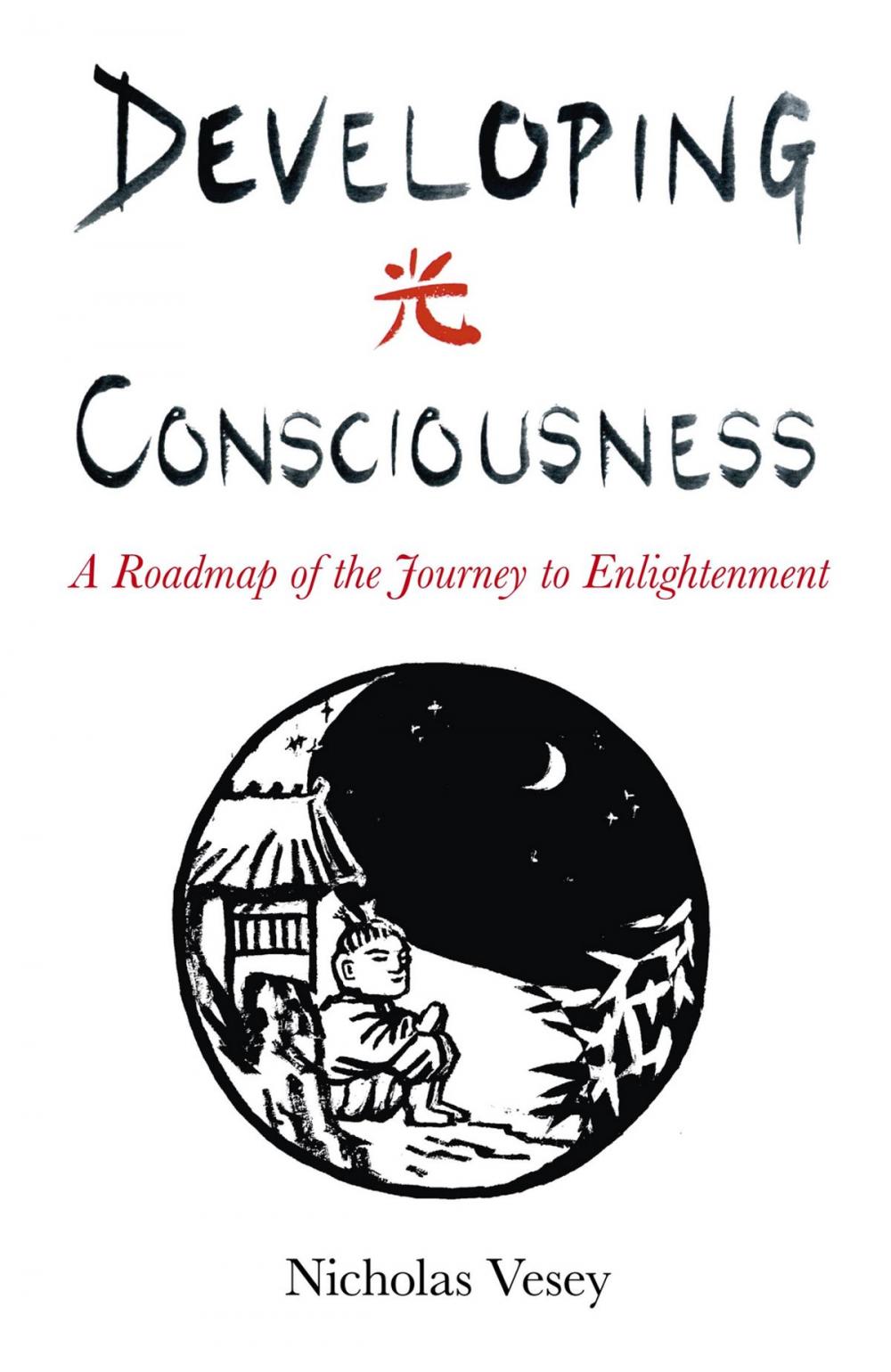 Big bigCover of Developing Consciousness