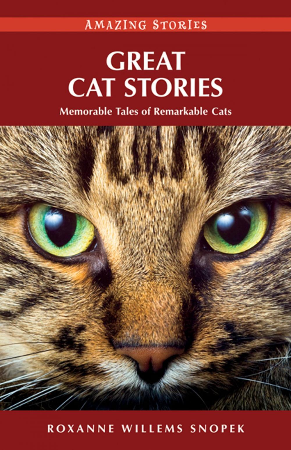 Big bigCover of Great Cat Stories: Memorable Tales of Remarkable Cats