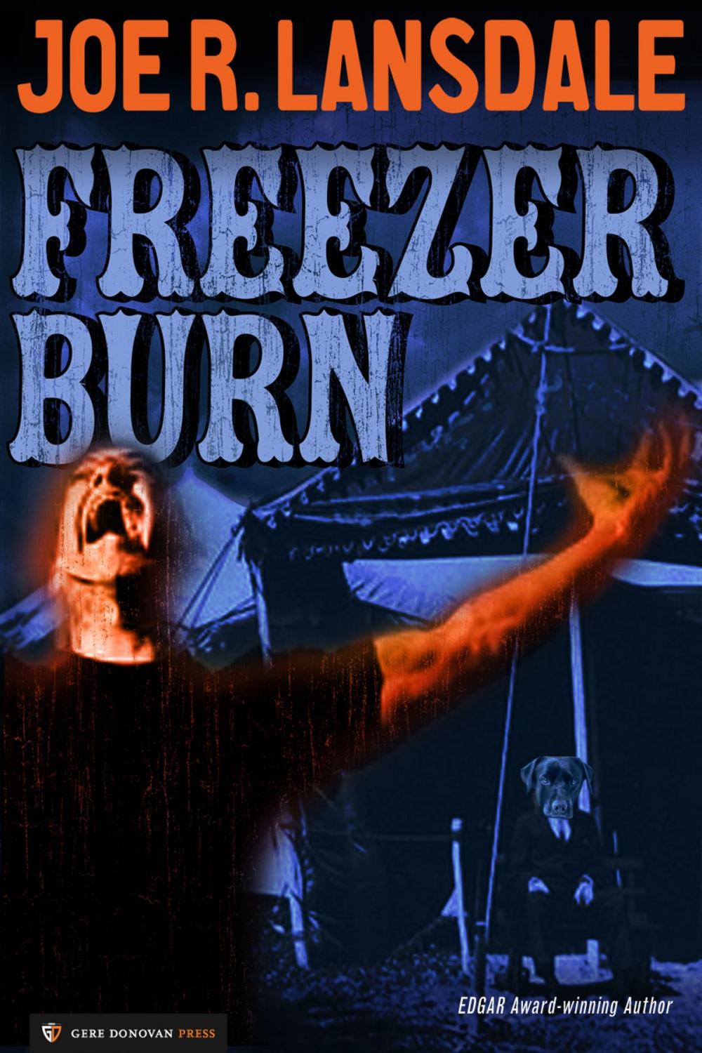 Big bigCover of Freezer Burn