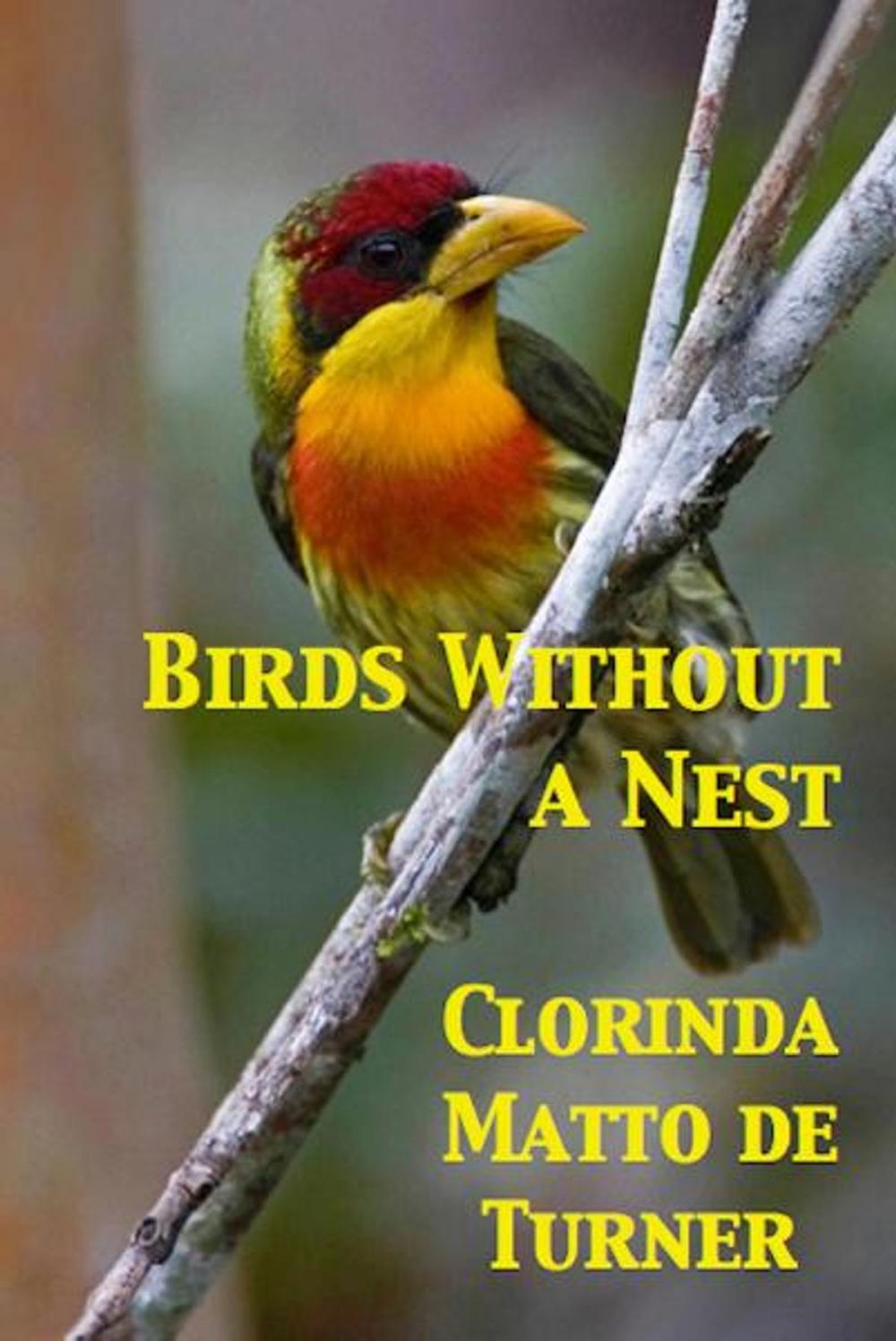 Big bigCover of Birds Without a Nest