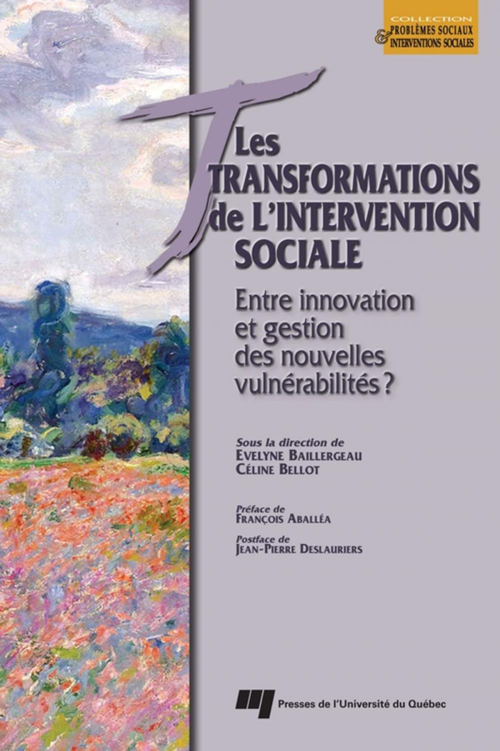 Big bigCover of Transformations de l’intervention sociale