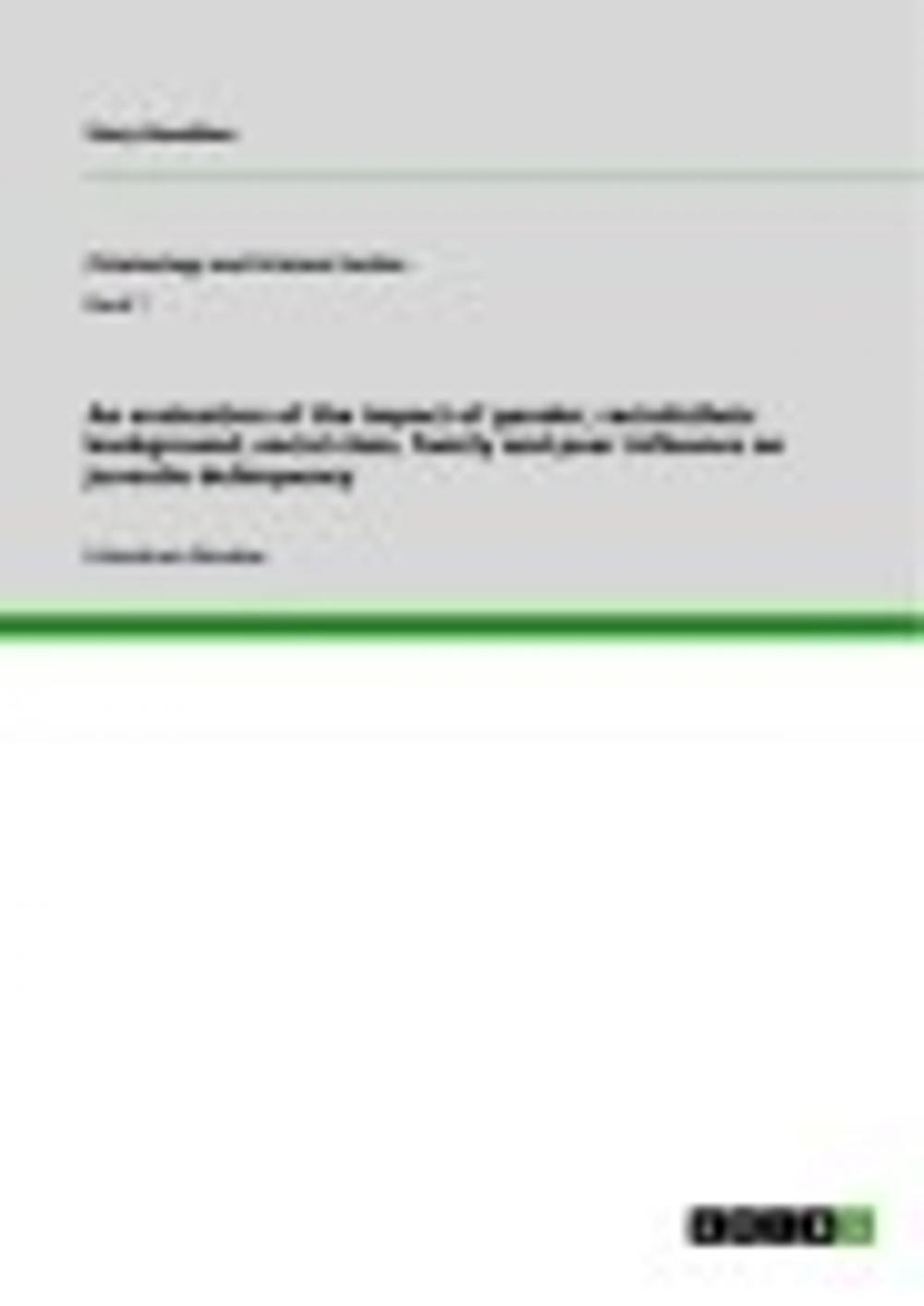 Big bigCover of An evaluation of the impact of gender, racial/ethnic background, social class, family and peer influence on juvenile delinquency