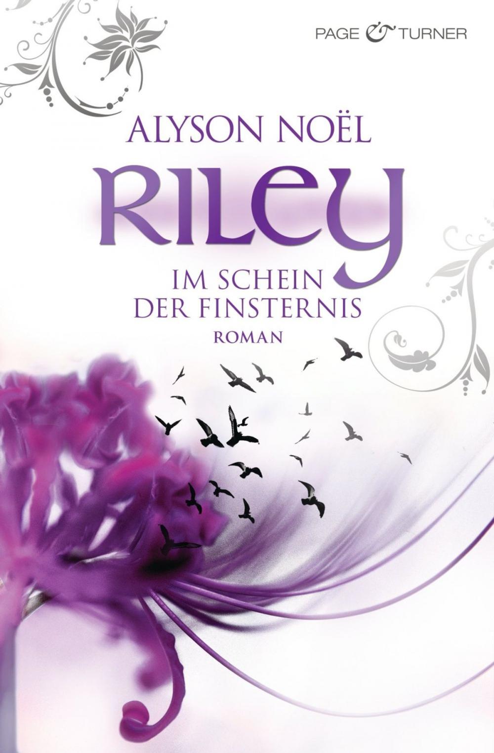 Big bigCover of Riley - Im Schein der Finsternis -