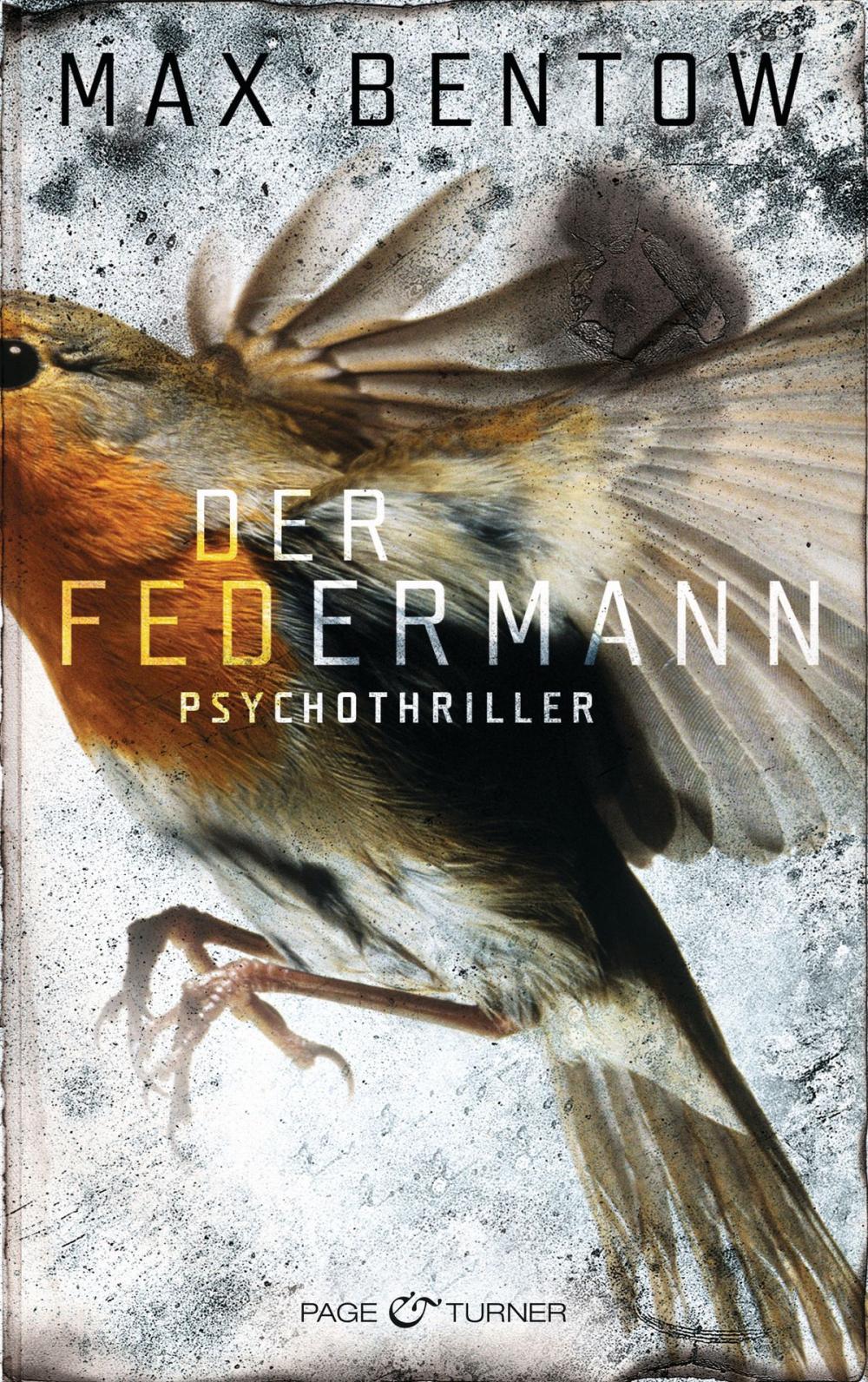 Big bigCover of Der Federmann