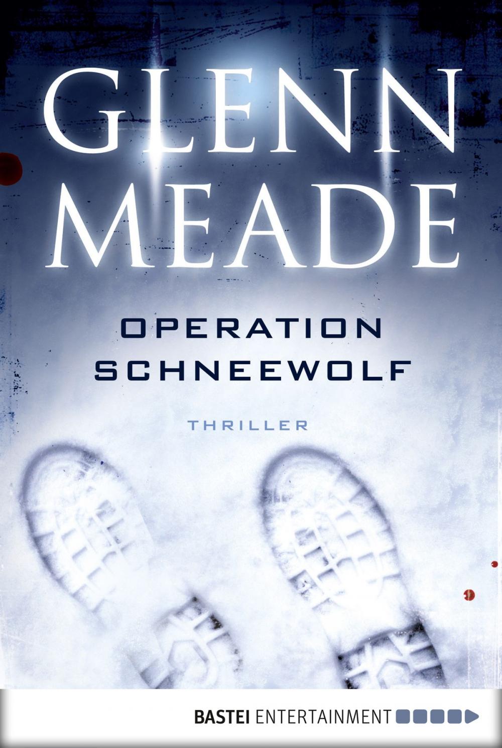 Big bigCover of Operation Schneewolf