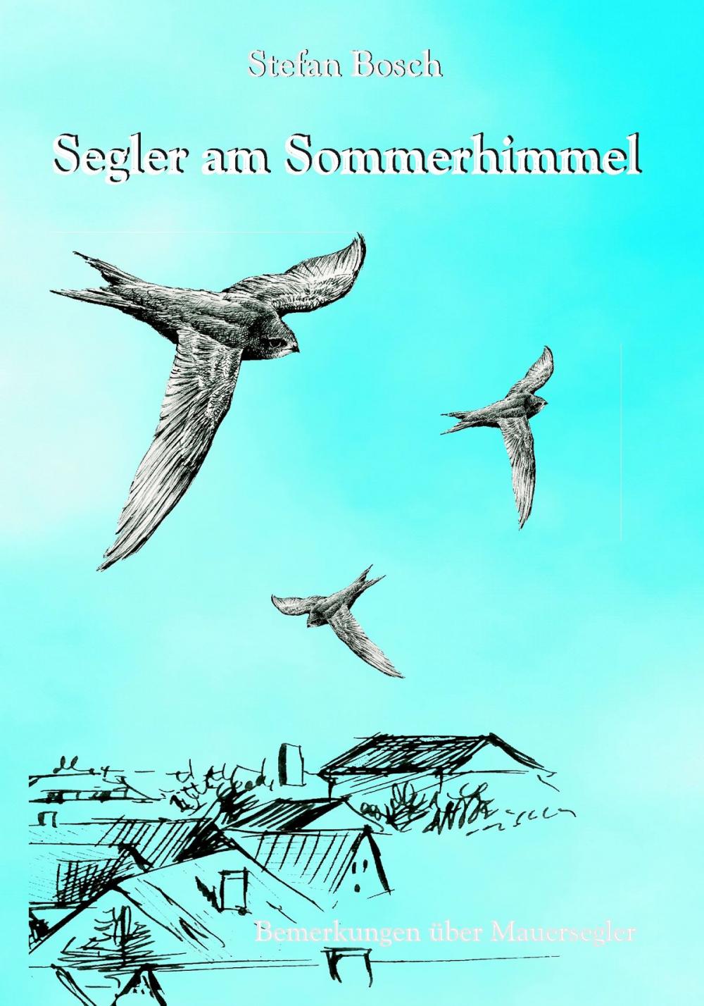 Big bigCover of Segler am Sommerhimmel