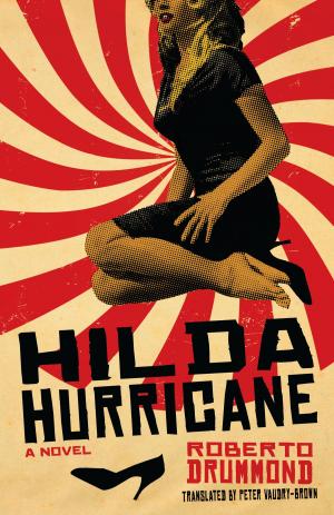 Book cover of Hilda Hurricane