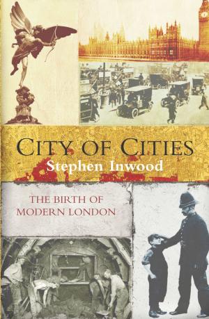 Cover of the book City Of Cities by Gillian Shields