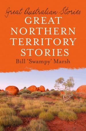Cover of the book Great Northern Territory Stories by Bernard Gallate