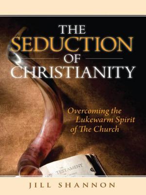 Cover of the book The Seduction of Christianity: Overcoming the Lukewarm Spirit of the Church by Kurt D. Bruner, Olivia Bruner