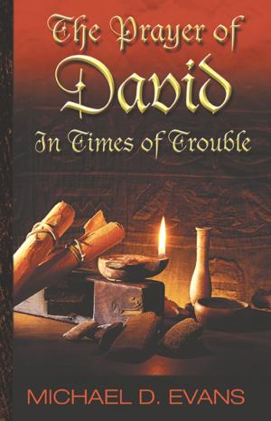 Cover of the book The Prayer of David: In Times of Trouble by Kris Vallotton