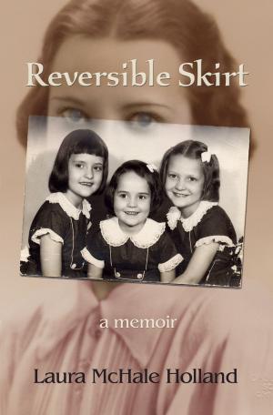 Book cover of Reversible Skirt