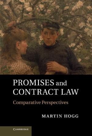 Cover of the book Promises and Contract Law by Josine Blok