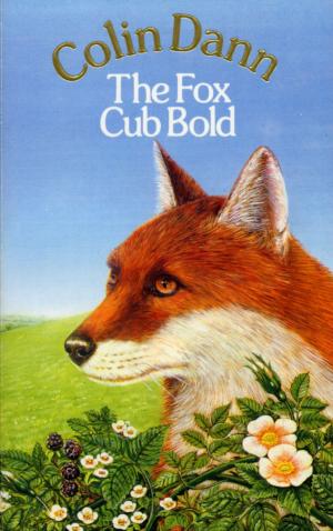 Cover of the book The Fox Cub Bold by Janey Louise Jones