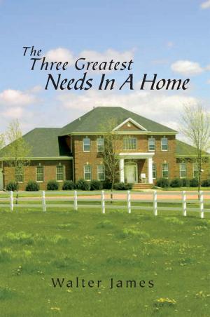 Cover of the book The Three Greatest Needs in a Home by Christina Simone