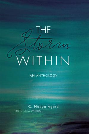 Cover of the book The Storm Within by Ann Morgan Taylor