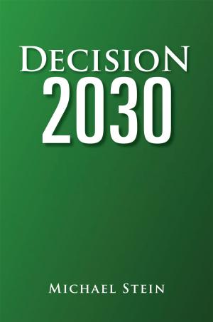Book cover of Decision 2030