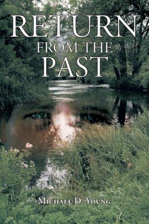 Cover of the book Return from the Past by Petra Langa