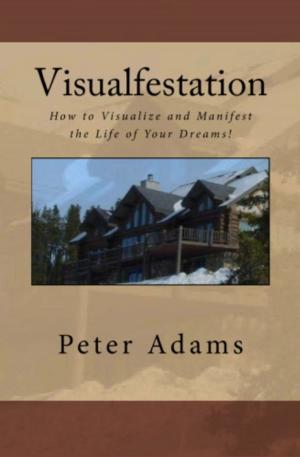 Cover of the book Visualfestation by Ambrose Nwaopara