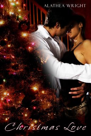 Book cover of Christmas Love