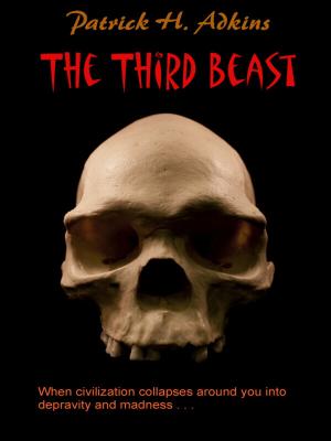 Cover of the book The Third Beast by Steven Sterup Jr