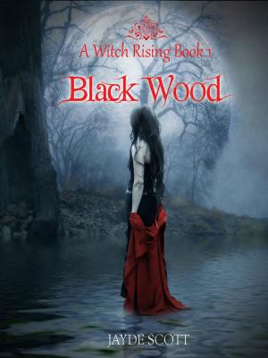 Cover of the book Black Wood (A Witch Rising) by David Gordon