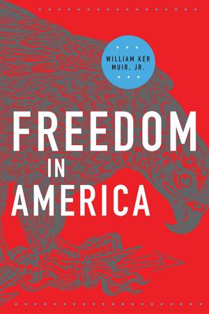 Cover of the book Freedom in America by David Sanford Horner