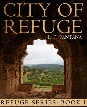 bigCover of the book City of Refuge by 