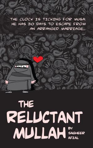 Book cover of The Reluctant Mullah