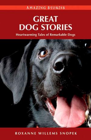 Cover of the book Great Dog Stories by Gloria Austin, Mary Chris Foxworthy