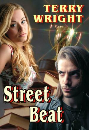 Cover of the book Street Beat by John Hindmarsh