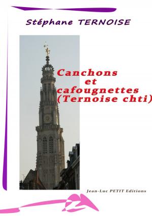 Cover of the book Canchons et cafougnettes - Ternoise chti by Annie Holmes