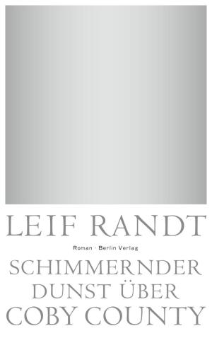 Cover of the book Schimmernder Dunst über CobyCounty by Shalom Auslander