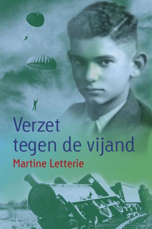 Cover of the book Verzet tegen de vijand by Barbara Scholten