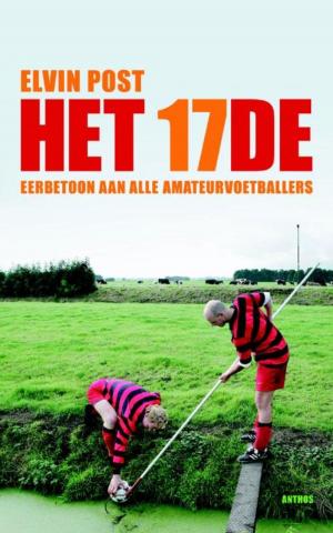 Cover of the book Het 17e by Shaun Herbert