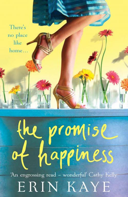 Cover of the book THE PROMISE OF HAPPINESS by Erin Kaye, HarperCollins Publishers