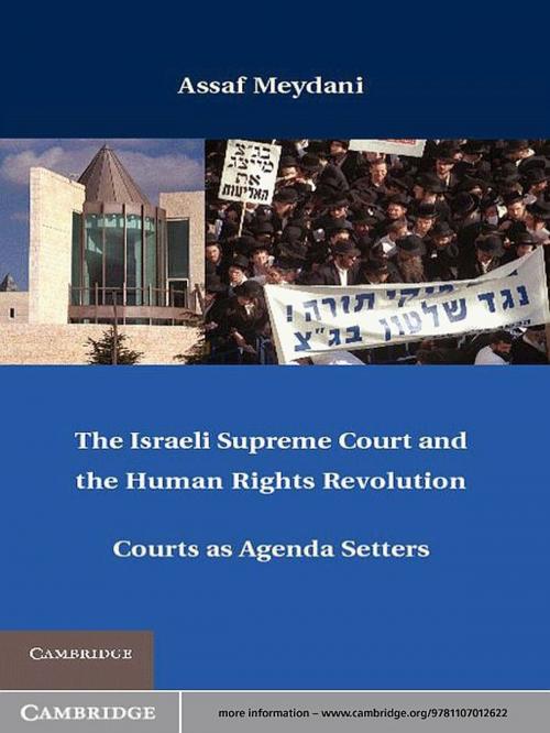 Cover of the book The Israeli Supreme Court and the Human Rights Revolution by Assaf Meydani, Cambridge University Press